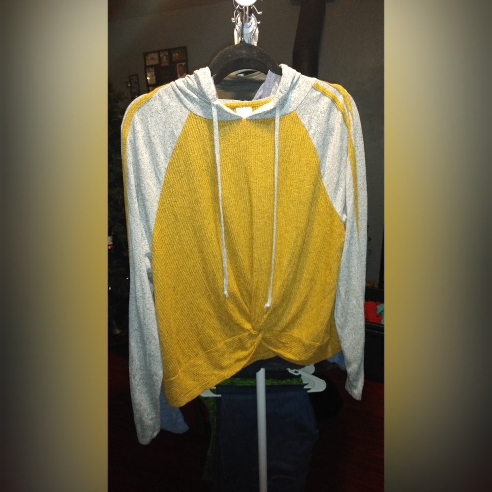 3X crop shirt